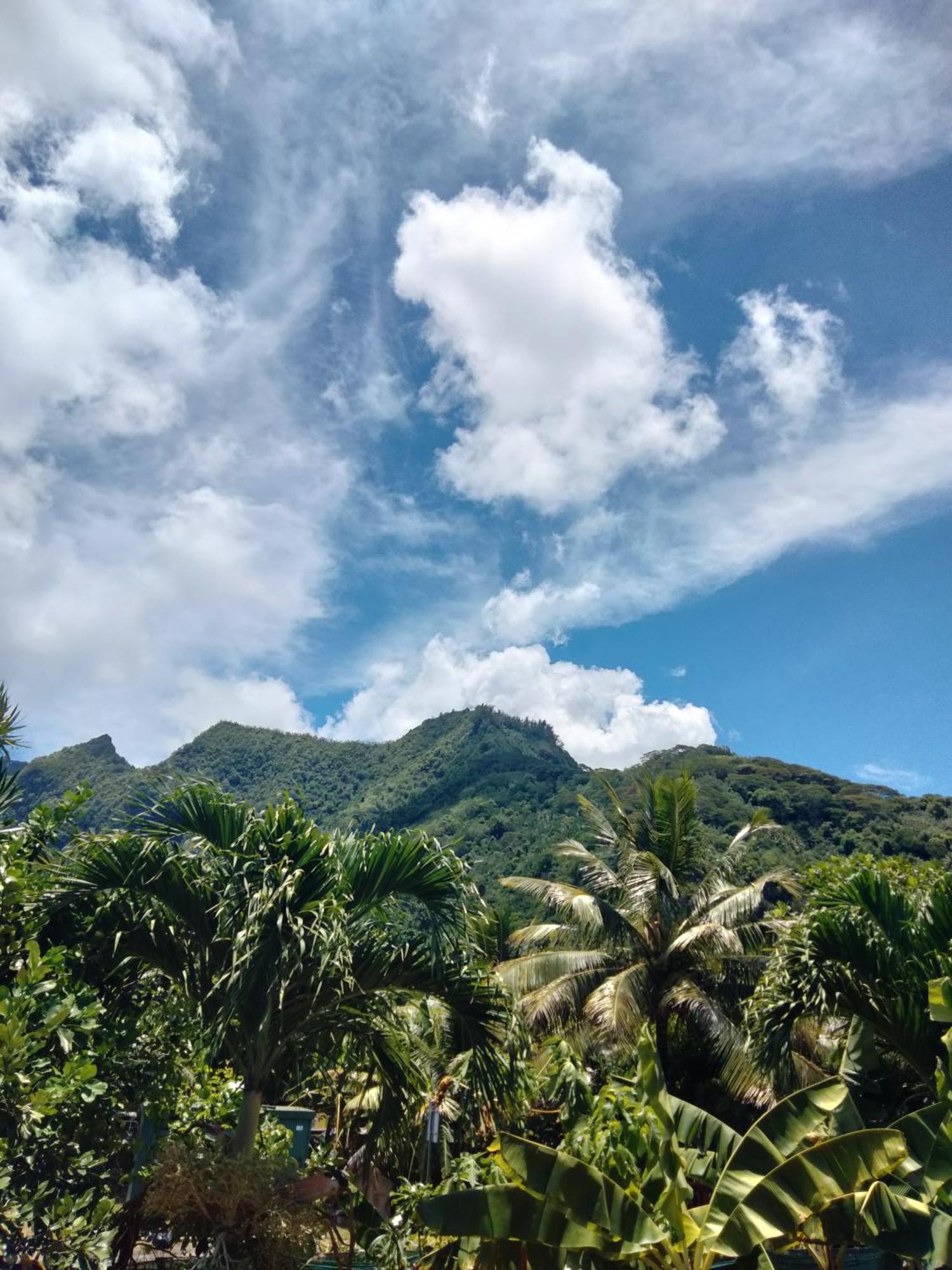 Bungalow Vue Lagon 180 Degre, La Maison Bleue Moorea Rum bild