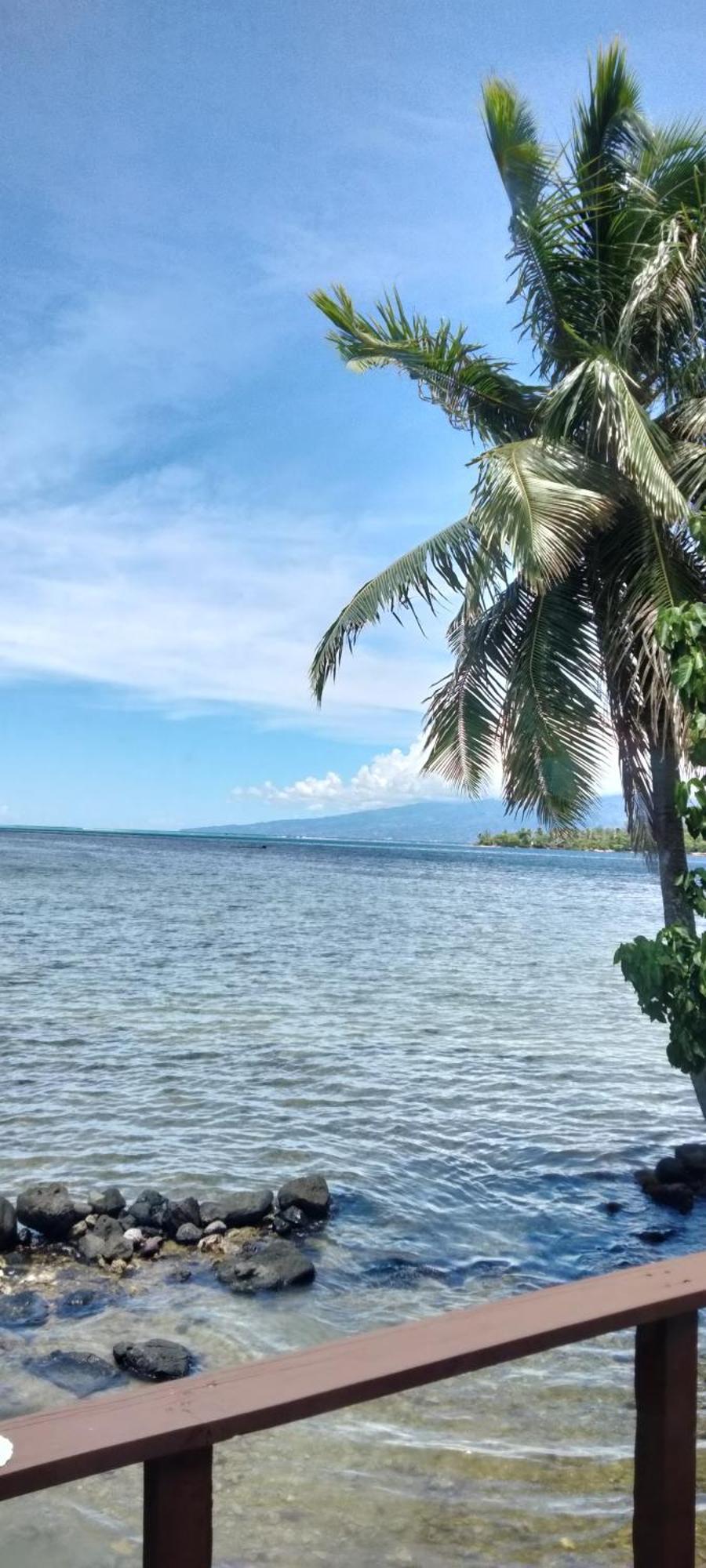 Bungalow Vue Lagon 180 Degre, La Maison Bleue Moorea Exteriör bild