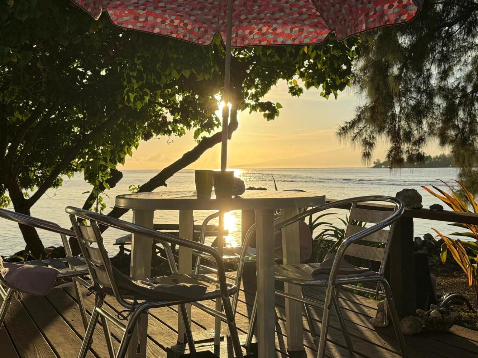 Bungalow Vue Lagon 180 Degre, La Maison Bleue Moorea Exteriör bild